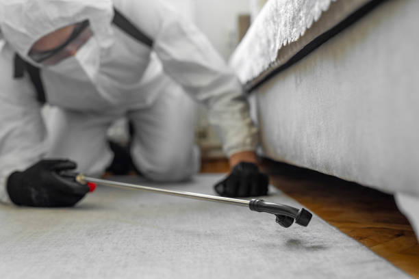 Professional Cockroach Control technician working in Mexia, TX