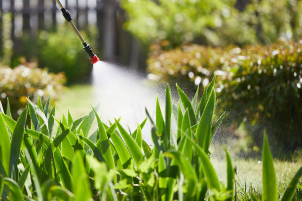 24/7 Emergency Cockroach Control experts in Mexia, TX