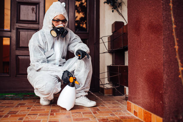 Reliable Cockroach Control contractor in Mexia, TX by Nex Pest Control